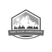 teakautoclaimssiouxfalls.com